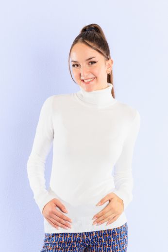 Picture of Tall Fine Knit Sweater Turtleneck